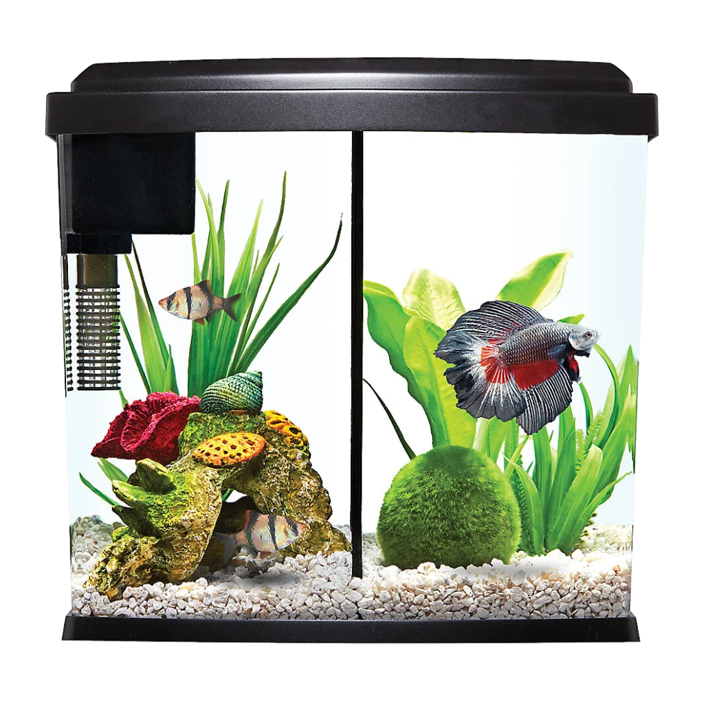 Top Fin® Bowfront Betta Duo Aquarium